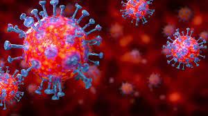 पछिल्लो २४ घण्टामा दुई सय ३० जनामा कोरोना पुष्टि